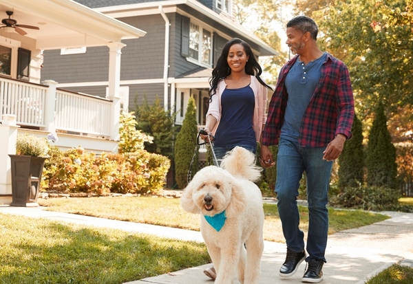 couple walking dog